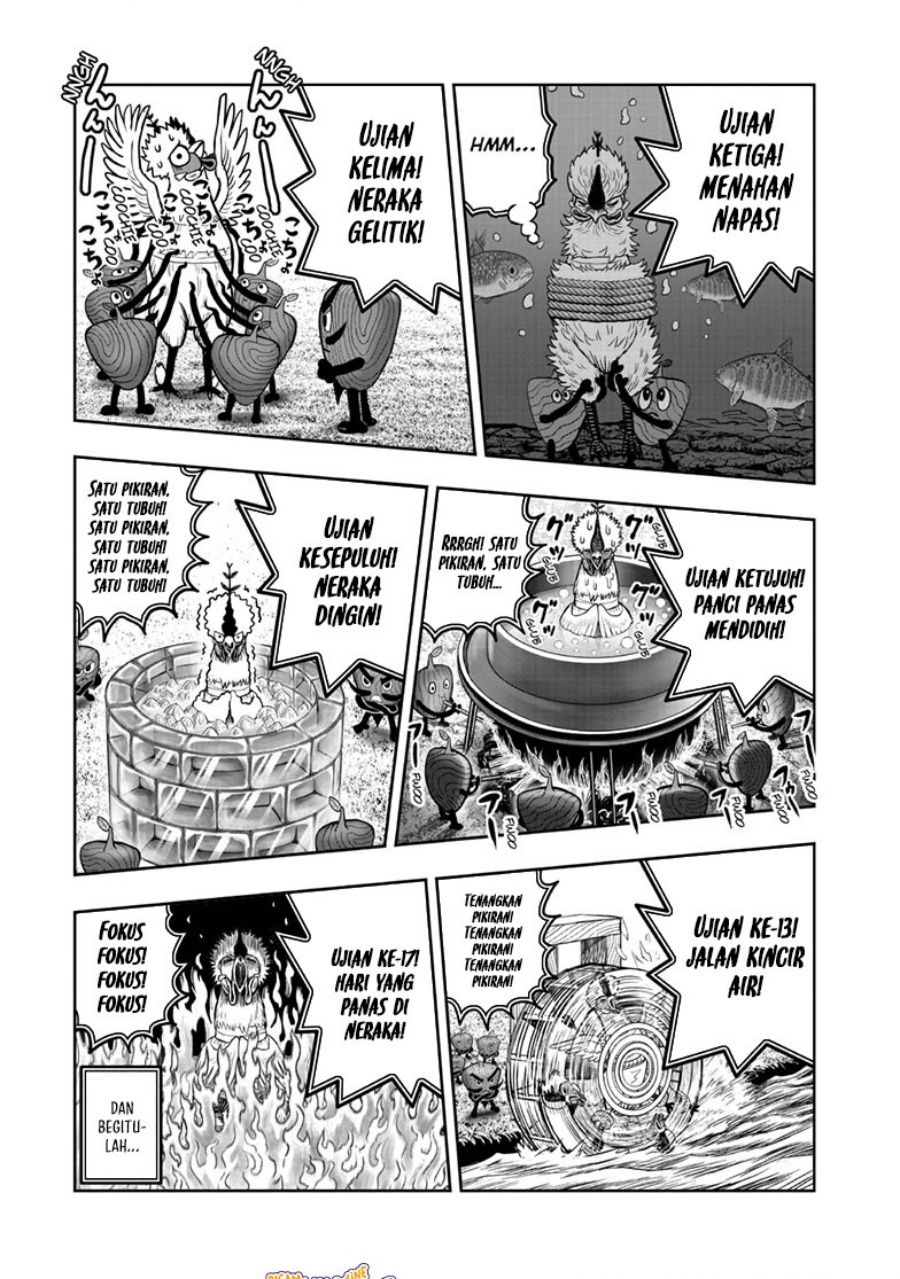 Rooster Fighter Chapter 50 Gambar 24