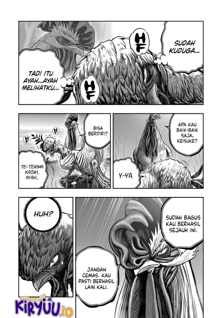 Rooster Fighter Chapter 50 Gambar 34