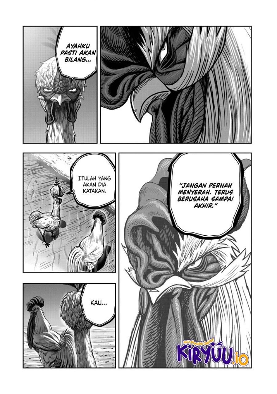 Rooster Fighter Chapter 50 Gambar 36