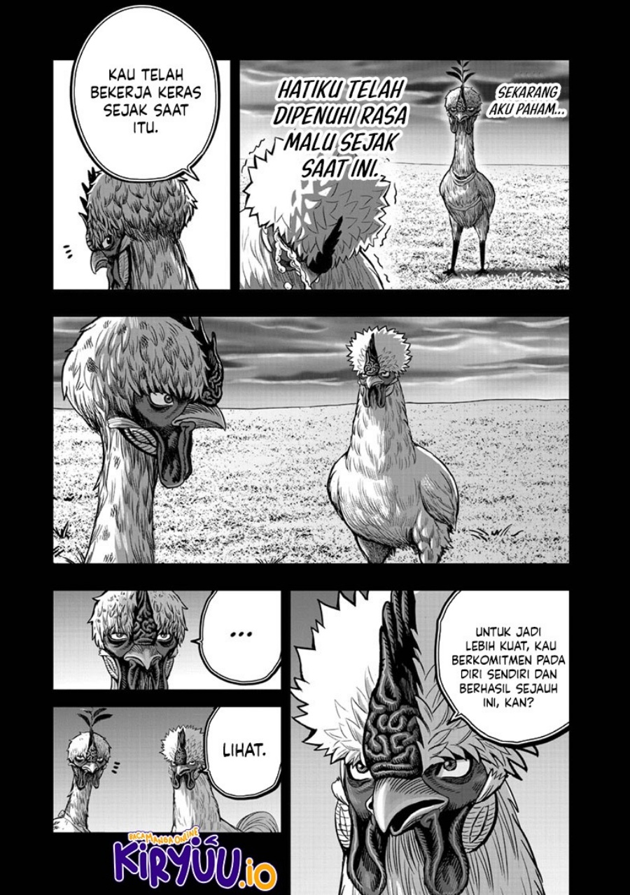 Rooster Fighter Chapter 50 Gambar 44