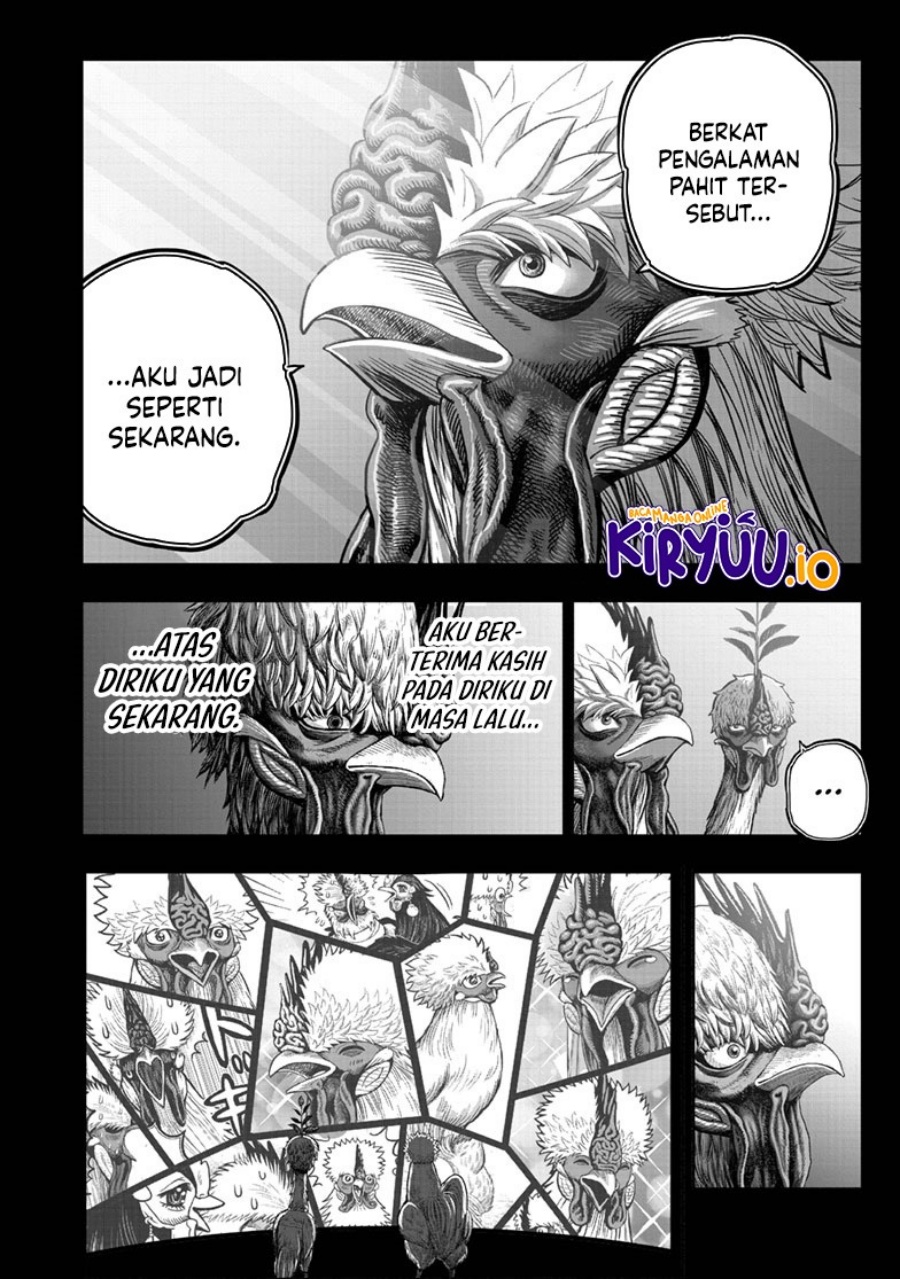 Rooster Fighter Chapter 50 Gambar 47