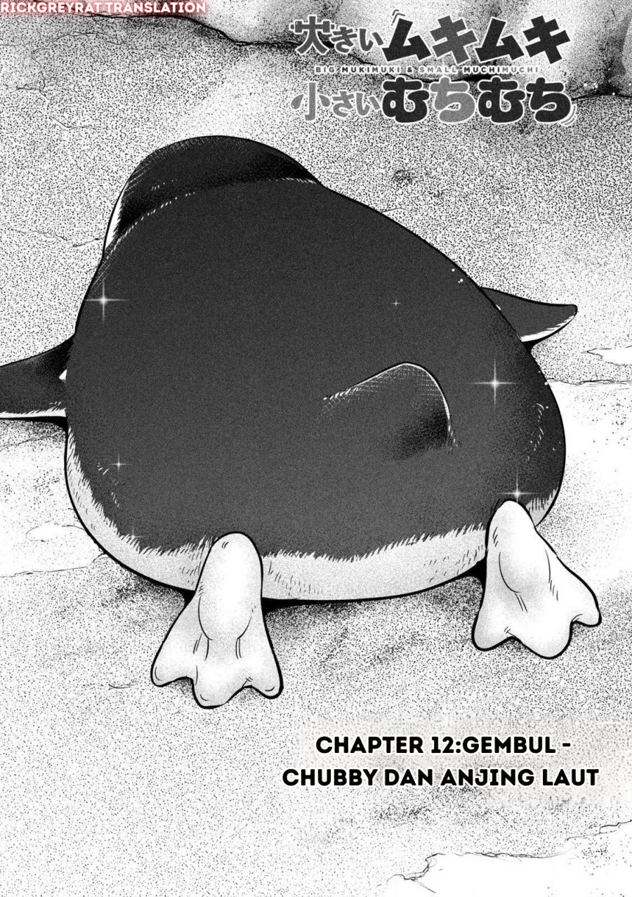 Ookii Muki Muki Chiisai Muchi Muchi Chapter 12 Gambar 2