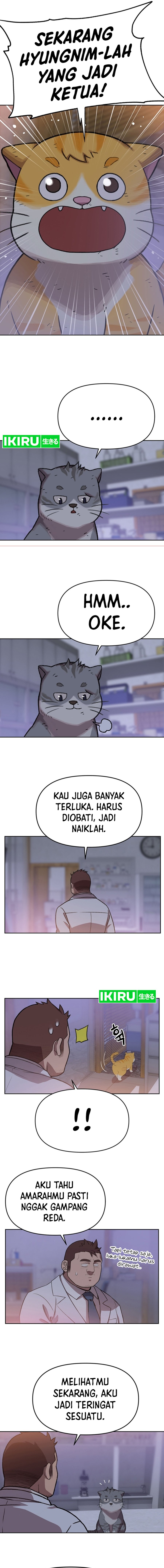 Rainbow Bridge Watchman Chapter 94 Gambar 9
