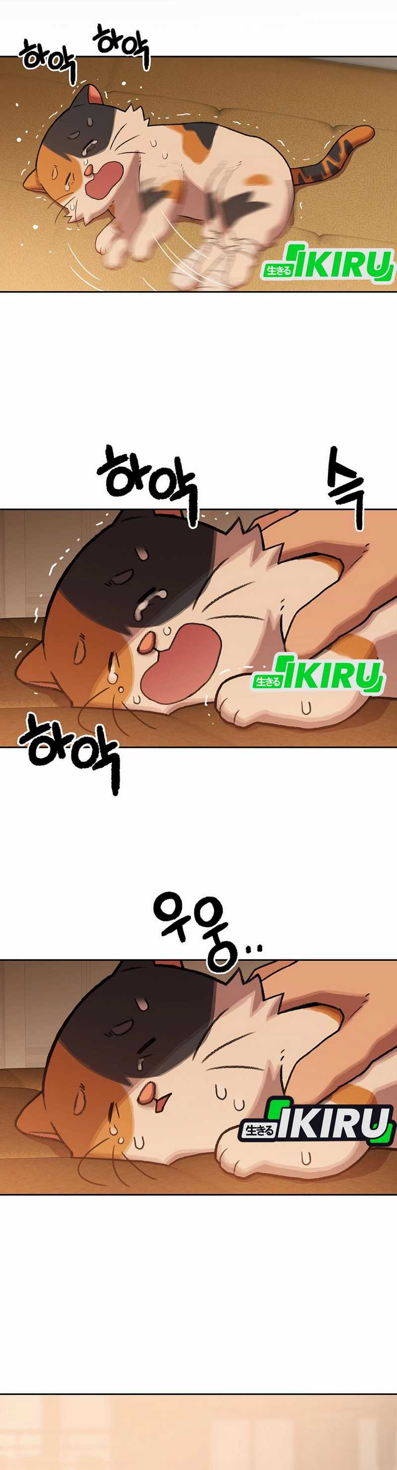 Rainbow Bridge Watchman Chapter 152 Gambar 37