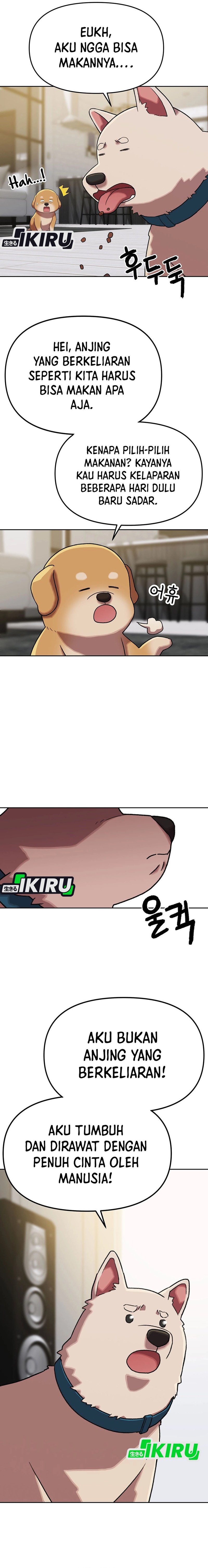 Rainbow Bridge Watchman Chapter 167 Gambar 4