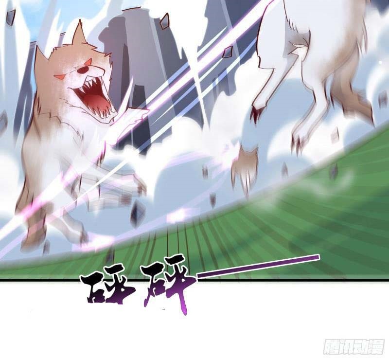Rebirth City Deity Chapter 155 Gambar 10