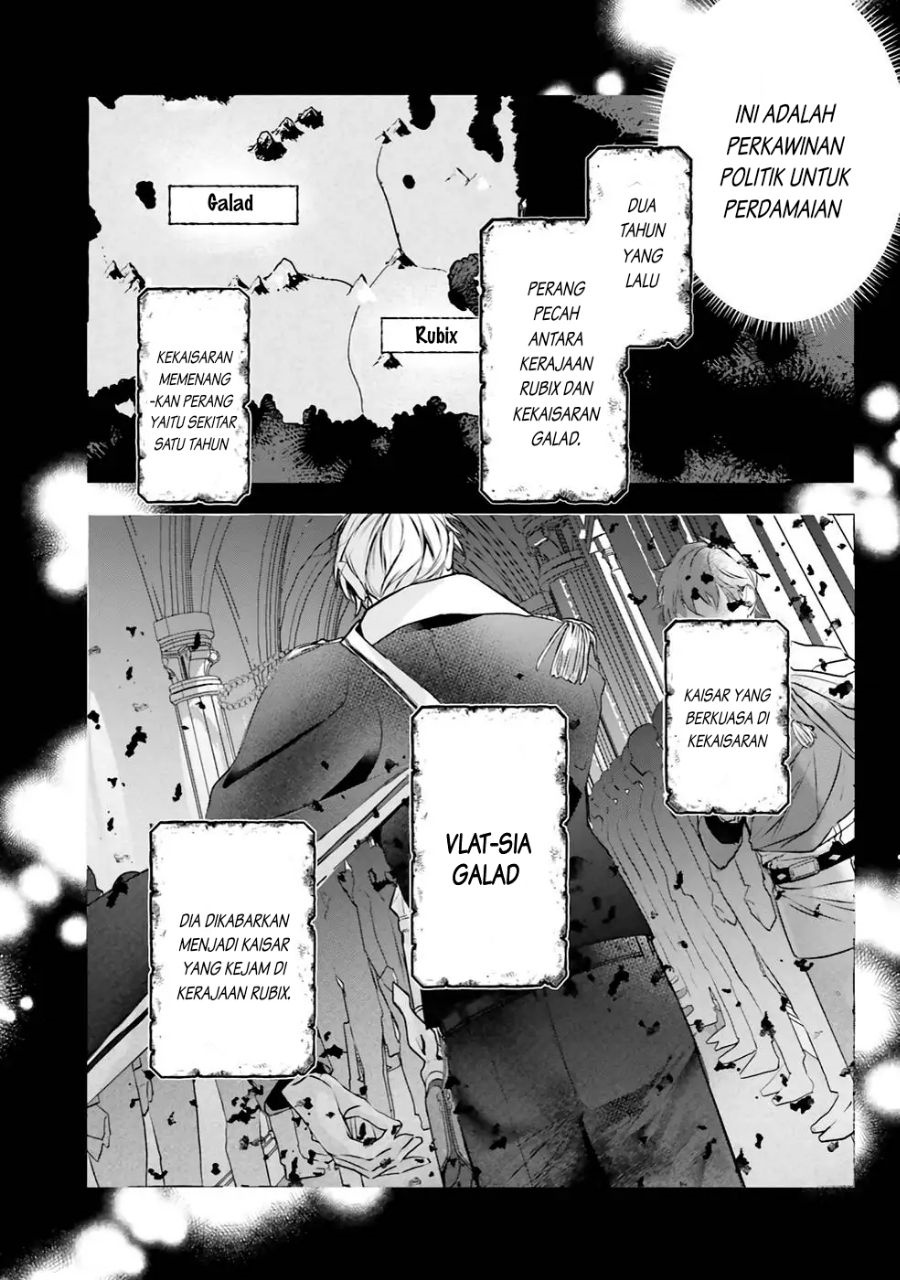 Reikoku Koutei wa Hitojichi Oujo wo Dekiai-chuu Chapter 01.1 Gambar 6