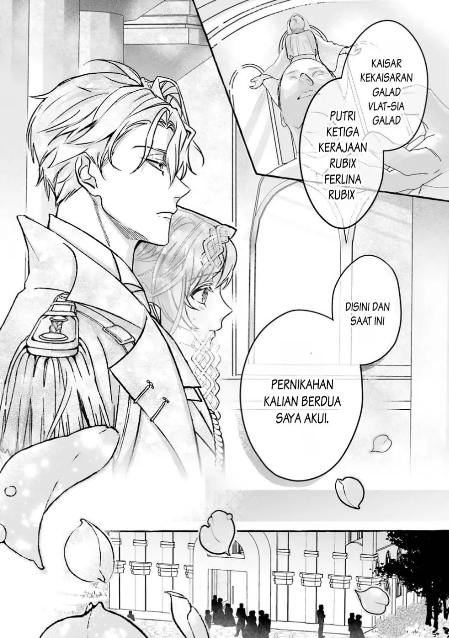 Reikoku Koutei wa Hitojichi Oujo wo Dekiai-chuu Chapter 01.1 Gambar 12