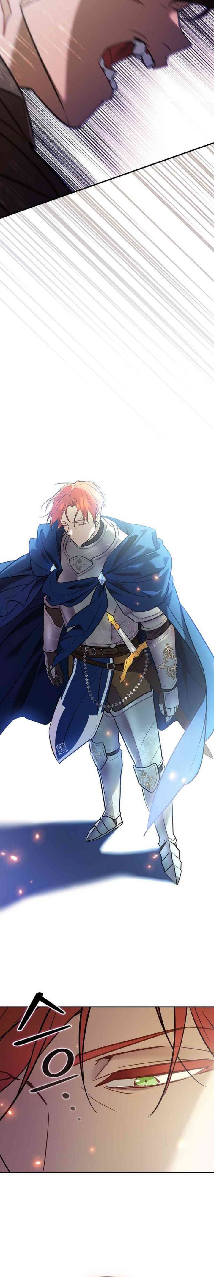 Reincarnated as the Archduke’s Son (A Mercenary’s Rebirth Among Nobles) Chapter 01 Gambar 43