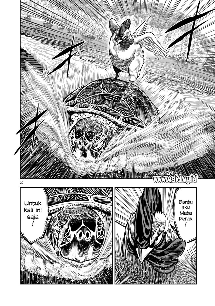 Rooster Fighter Chapter 04 Gambar 31