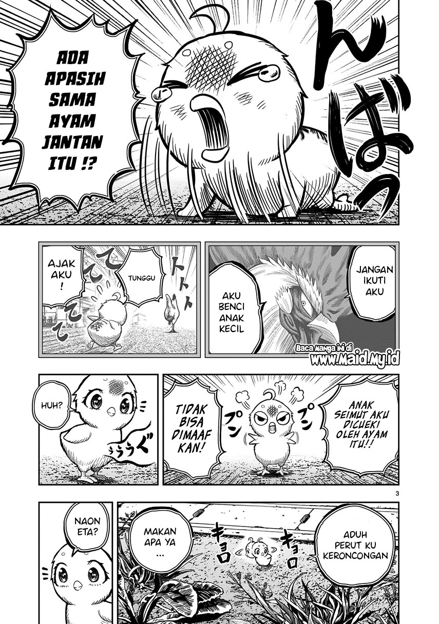 Rooster Fighter Chapter 06 Gambar 5