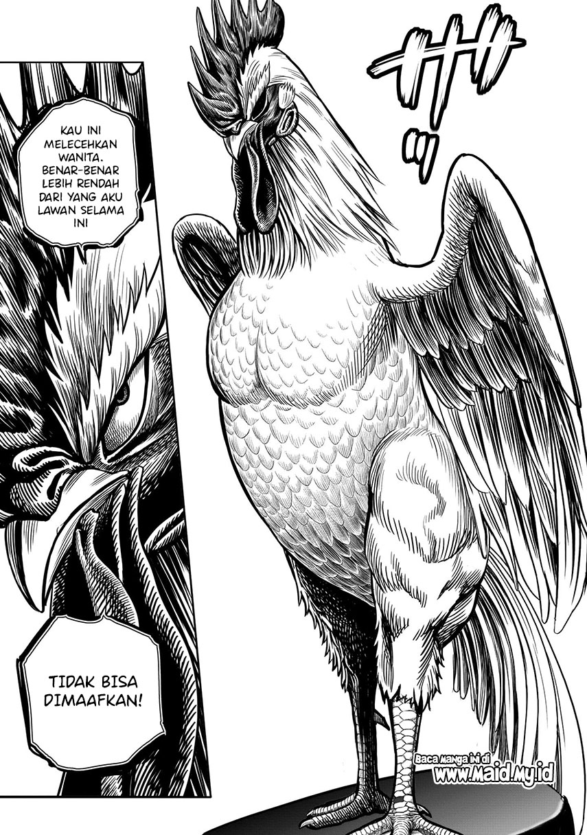 Rooster Fighter Chapter 06 Gambar 13
