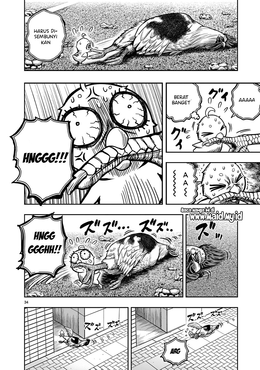 Rooster Fighter Chapter 06 Gambar 36