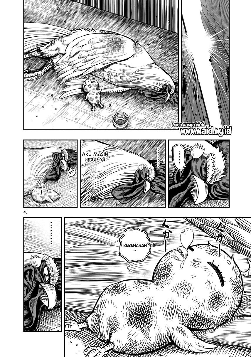 Rooster Fighter Chapter 06 Gambar 42