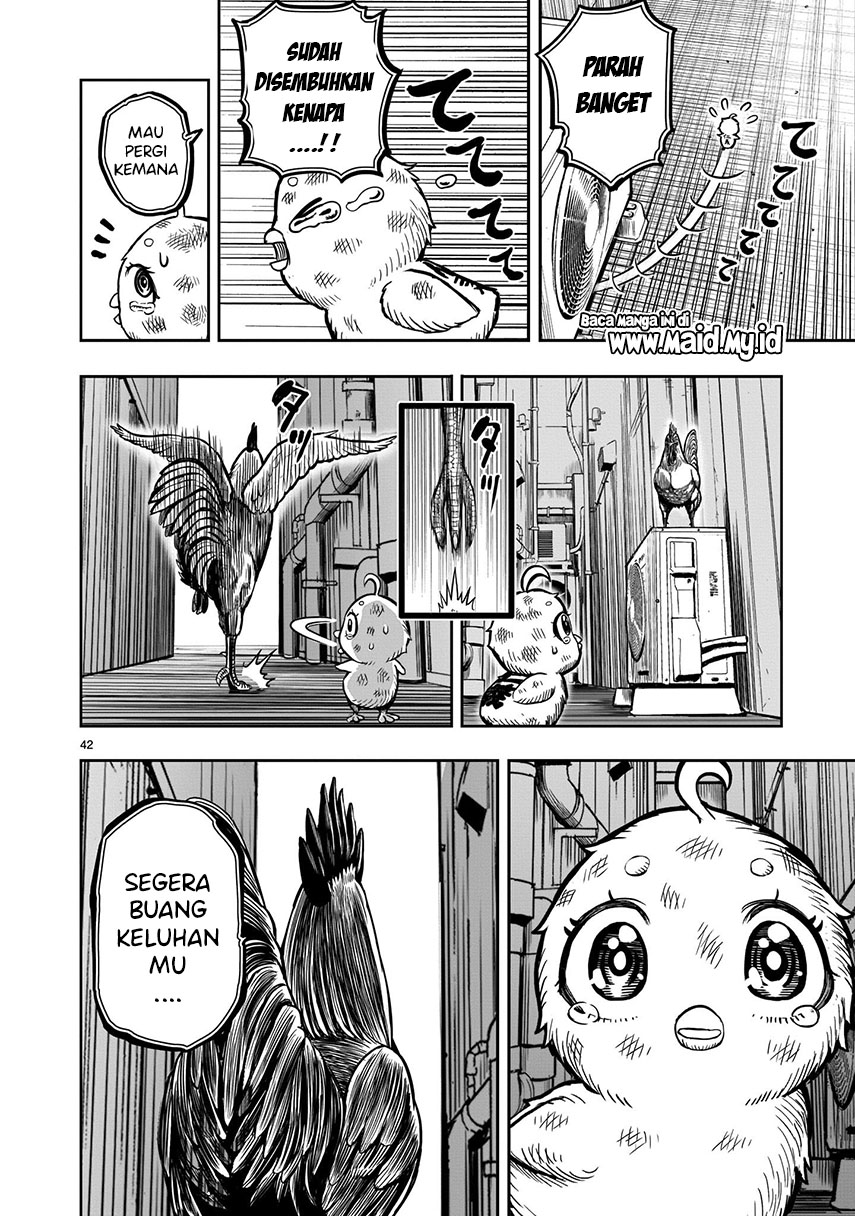 Rooster Fighter Chapter 06 Gambar 44
