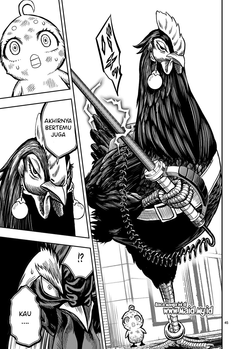 Rooster Fighter Chapter 06 Gambar 47