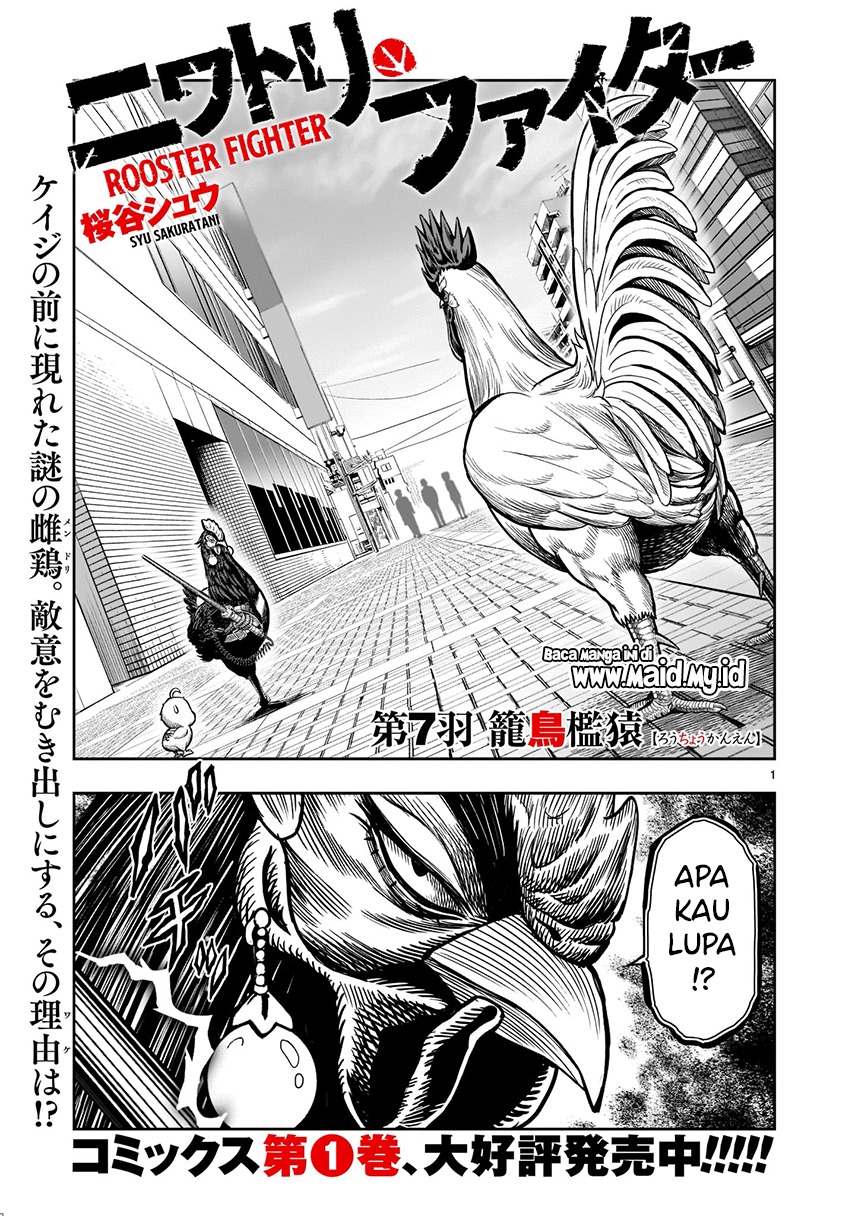 Rooster Fighter Chapter 07 Gambar 3