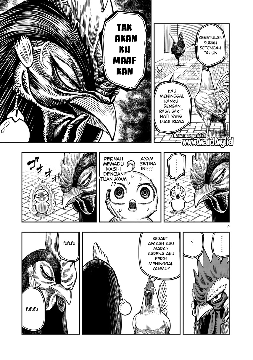 Rooster Fighter Chapter 07 Gambar 6