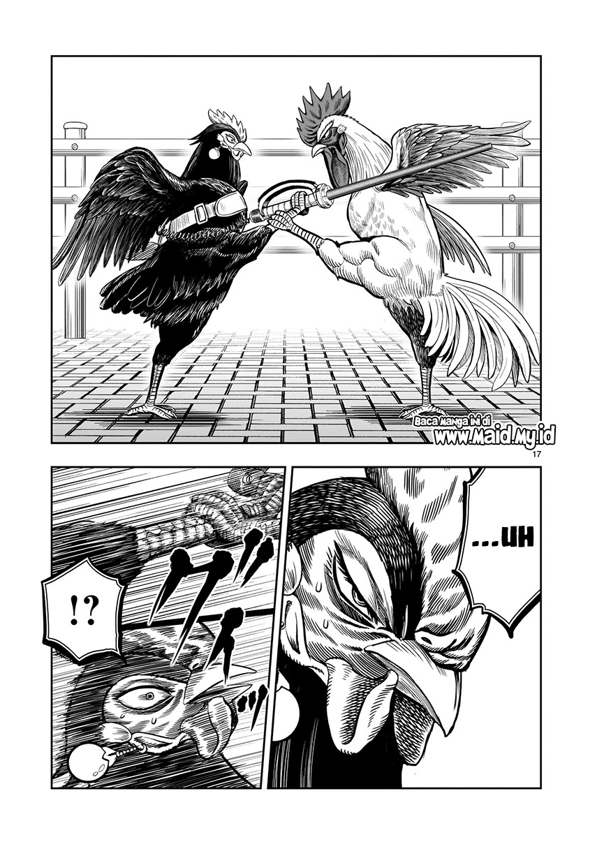 Rooster Fighter Chapter 07 Gambar 13