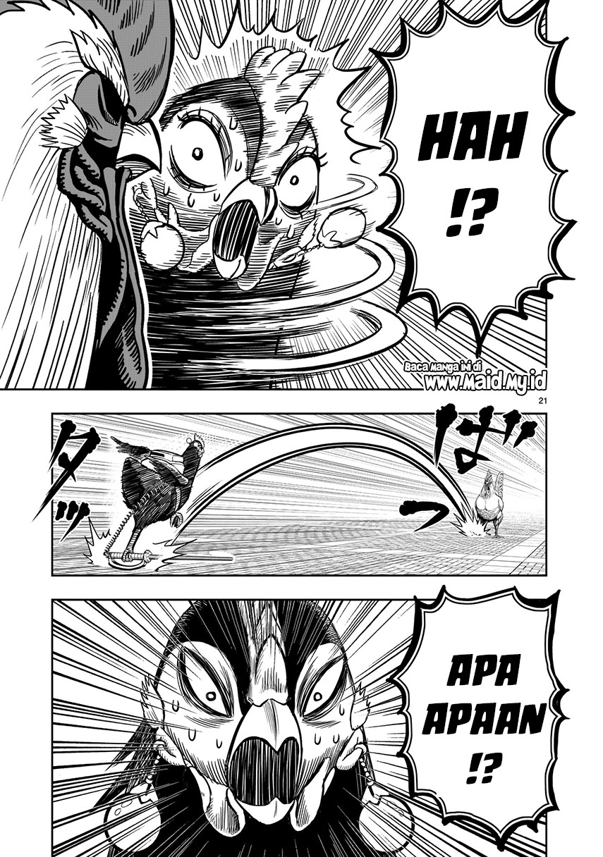 Rooster Fighter Chapter 07 Gambar 17