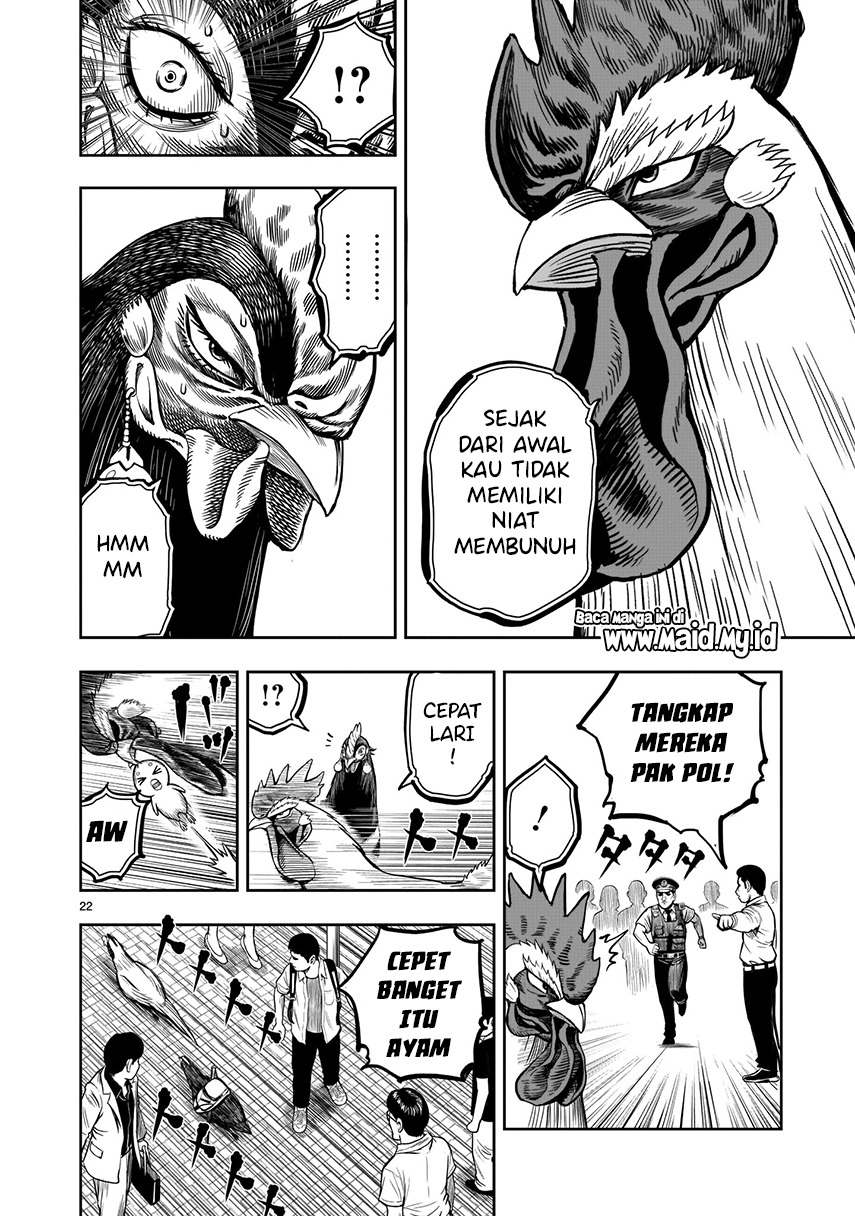 Rooster Fighter Chapter 07 Gambar 18