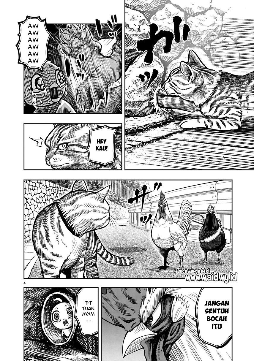 Rooster Fighter Chapter 09 Gambar 6