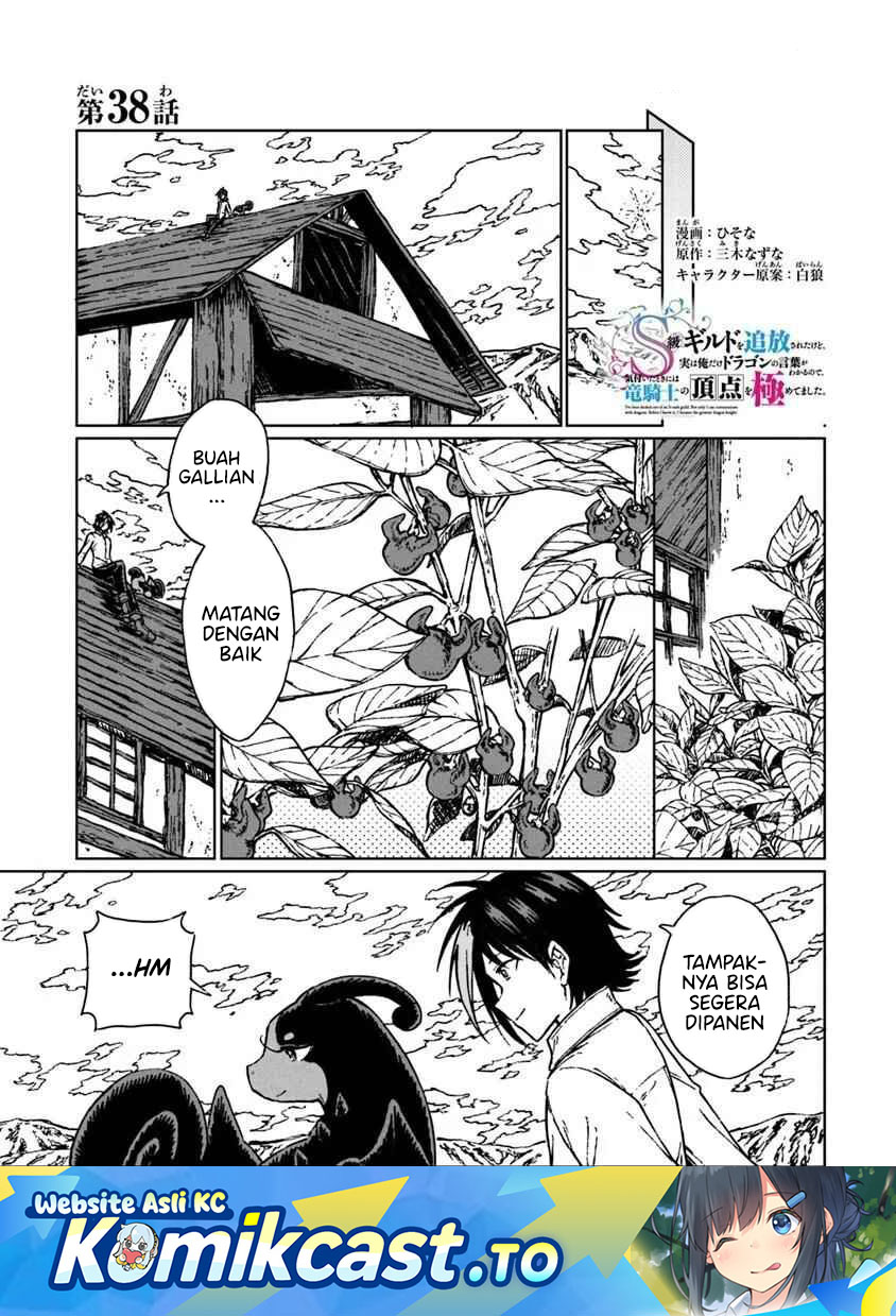S-kyuu Guild wo Tsuihou saretakedo, Jitsu wa Ore dake Dragon no Kotoba ga Wakaru no de, Kidzuita Toki ni wa Ryuu Kishi no Chouten wo Kiwametemashita Chapter 38 Gambar 2