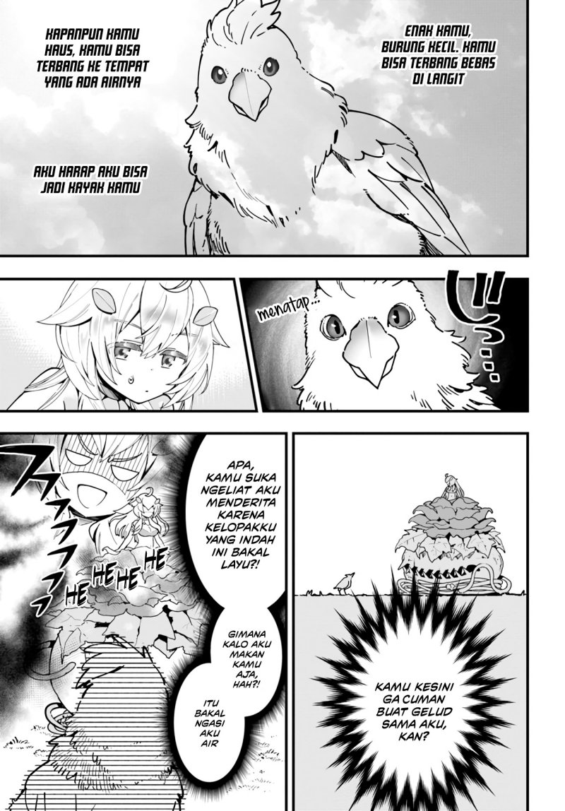 Shokubutsu Monster Musume Nikki Chapter 03 Gambar 16