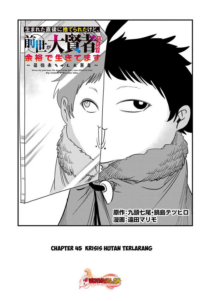 Since My Previous Life Was A Wise Man I Can Afford To Live Chapter 45 Gambar 5