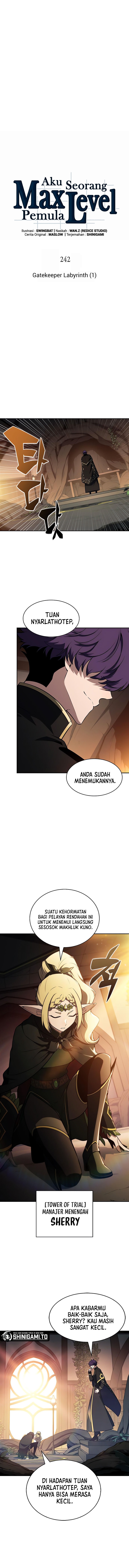 Solo Max-Level Newbie Chapter 242 Gambar 6