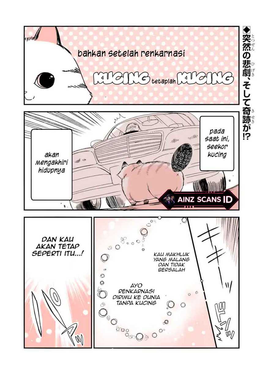 Tensei Shite mo Neko wa Neko Chapter 01 Gambar 4