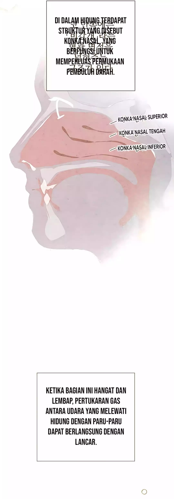 The Black-Haired British Doctor Chapter 27 Gambar 10