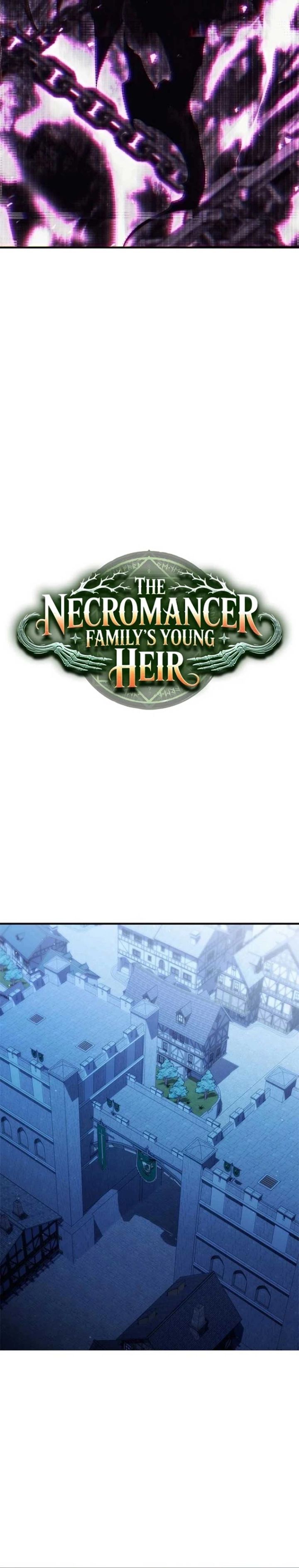 The Necromancer Family’s Young Heir Chapter 40 Gambar 17