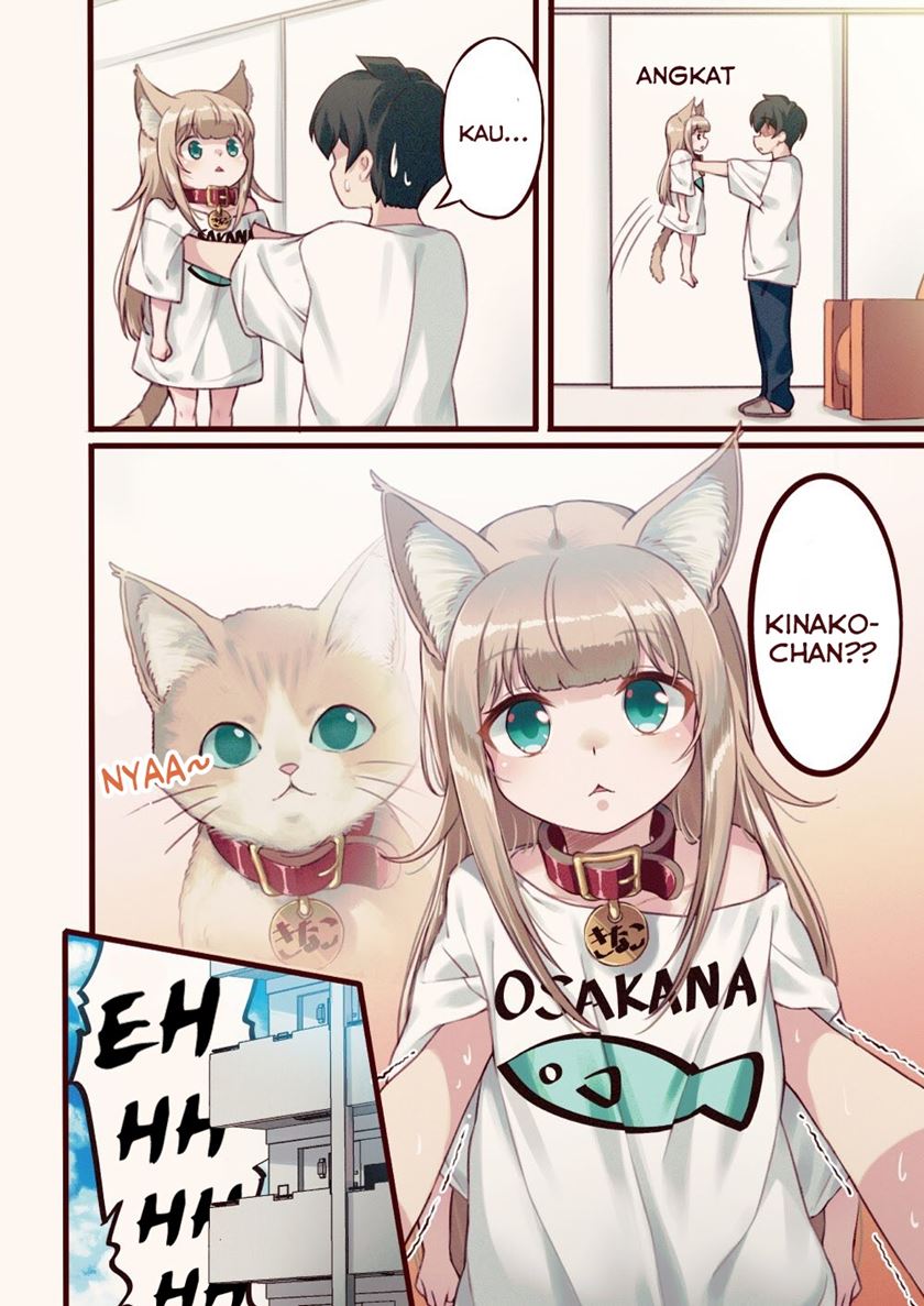 Uchi ni Neko ga Yattekita (The Cat Came to My House!) Chapter 01 Gambar 9